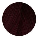 4.6 Kastanienbraun Rot