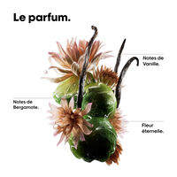 Absolut Repair Molecular Zweiphasen&ouml;l