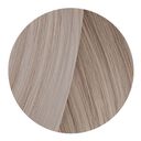 12.81 Superaufheller Sehr Blond Perlmutt Asch