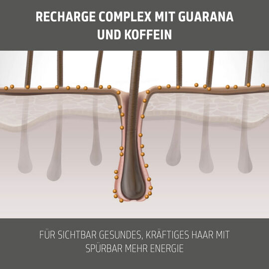 Men Hair & Body Shampoo