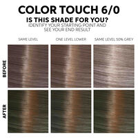 Color Touch Fresh-up-Kit 6/0 Dunkelblond Natur