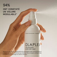 Volumengebendes und sch&uuml;tzendes Spray