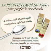 Schwarzk&uuml;mmel&ouml;l