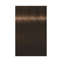 Permanente Haarfarbe Igora Royal 4-5 Kastanienbraun Gold