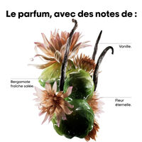 Professionelle Konzentrat-Maske Absolut Repair Molecular