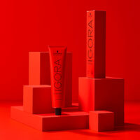 Permanente Haarfarbe Igora Royal 6-0 Dunkelblond Natur