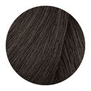 6.1 Dunkelblond Asch