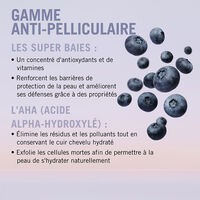 BC Scalp Anti-Schuppen-Serum