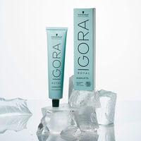 Permanente Haarfarbe Igora Royal 12-1 Spezialblond Asch