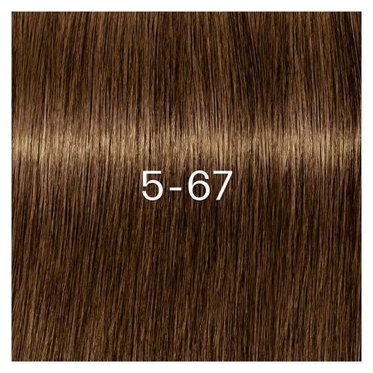 Igora Zero Amm Haarfarbe 5-67 Hellkastanienbraun Schokolade Kupfer