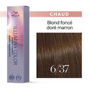 6/37 Dunkelblond Gold Marron