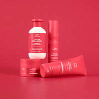 Shampoo f&uuml;r dickes, coloriertes Haar Invigo Color Brilliance