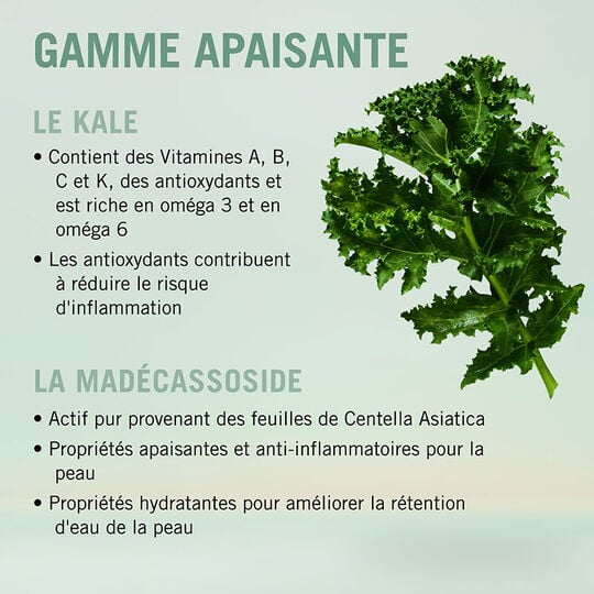 BC Scalp beruhigendes Shampoo