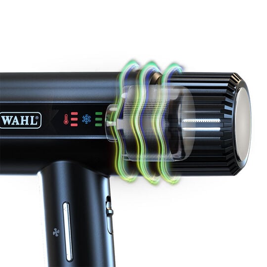 Haartrockner Vanquish Schwarz