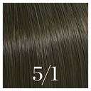 5/1 Hellkastanienbraun Asch