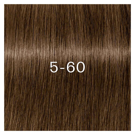 Igora Zero Amm Haarfarbe 5-60 Hellkastanienbraun Cover Schokolade