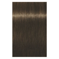 Permanente Haarfarbe Igora Royal 5-4 Hellkastanienbraun Beige