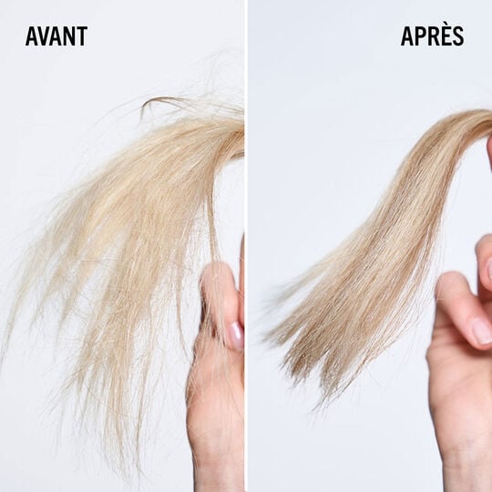 Spitzen-Renovierer+ BC Repair Rescue