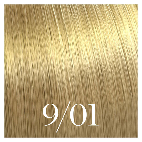 Semipermanente Coloration Color Touch 9/01 Sehrhellblond Natur Asch