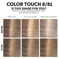 Color Touch Fresh-up-Kit 8/81 Hellblond Perl&eacute; Asch