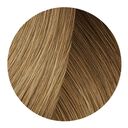 8.31 Hellblond Gold Asch